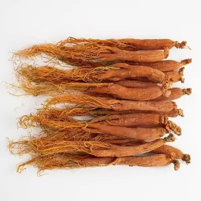 الجينسينغ الأحمر الكوري